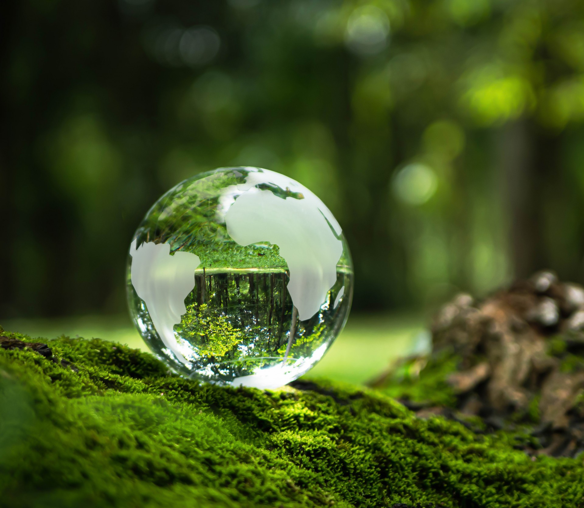 FFC Hakkımızda Görseli