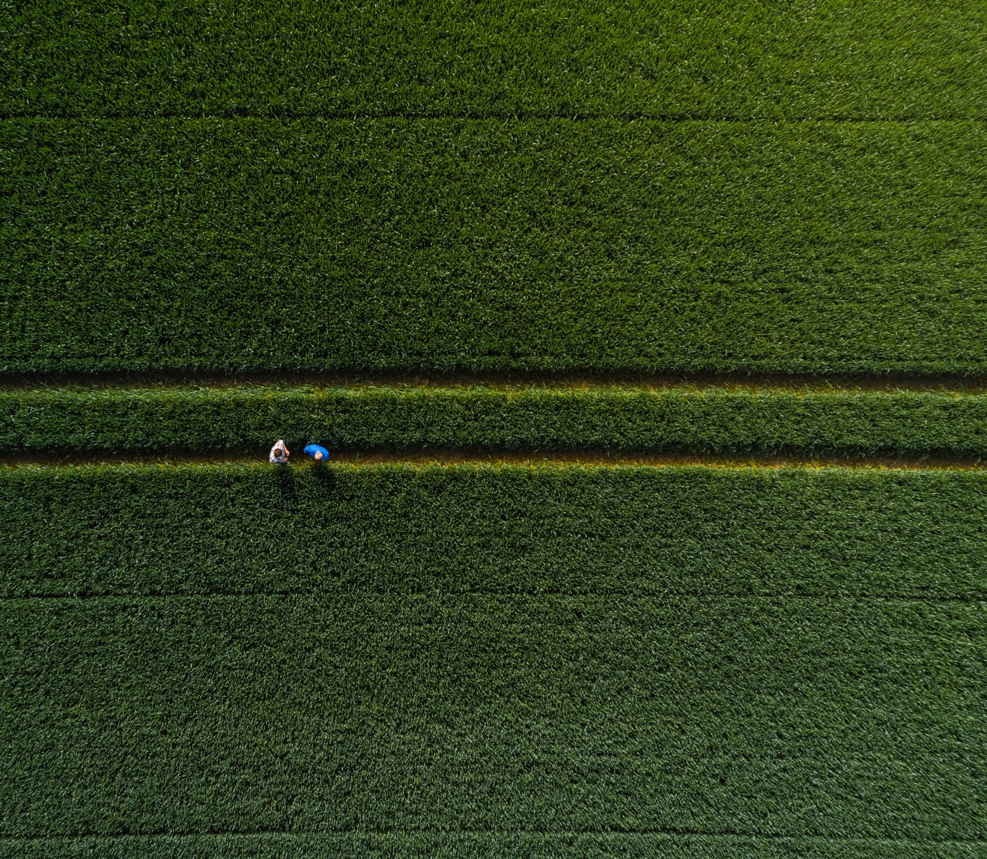 FFC Hakkımızda Görseli